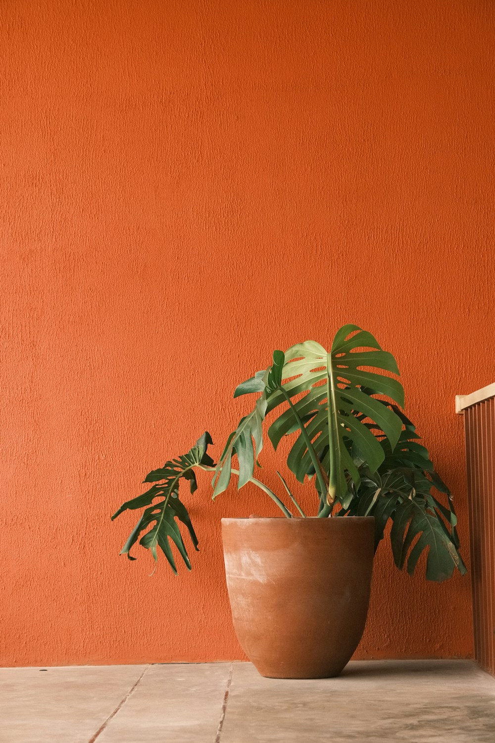 Illustrative Terracotta Planter